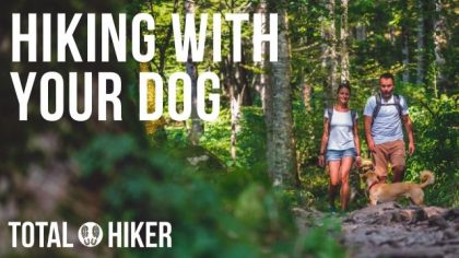 Hiking With Your Dog